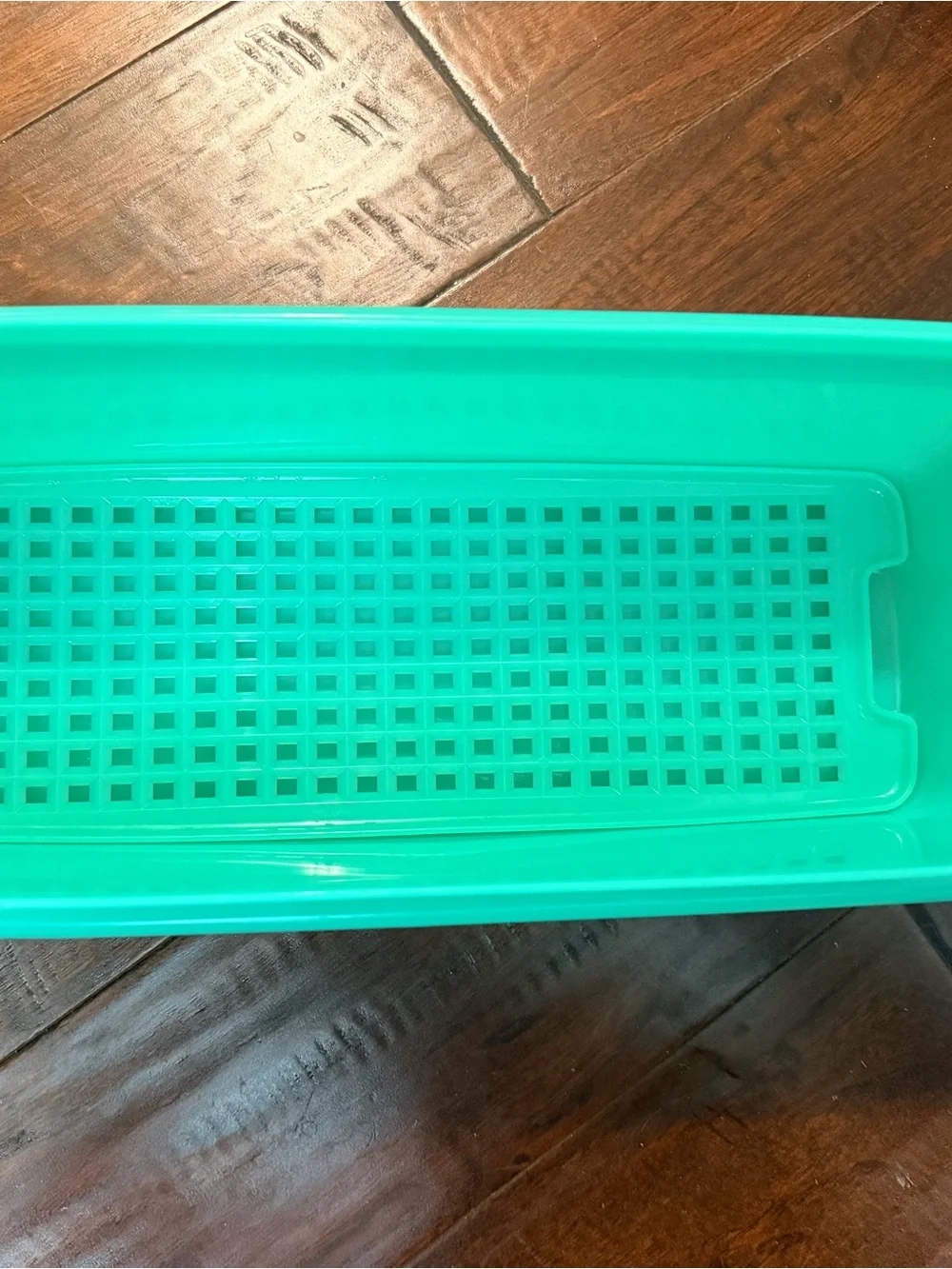 Vintage Tupperware - Jadeite Celery Keeper